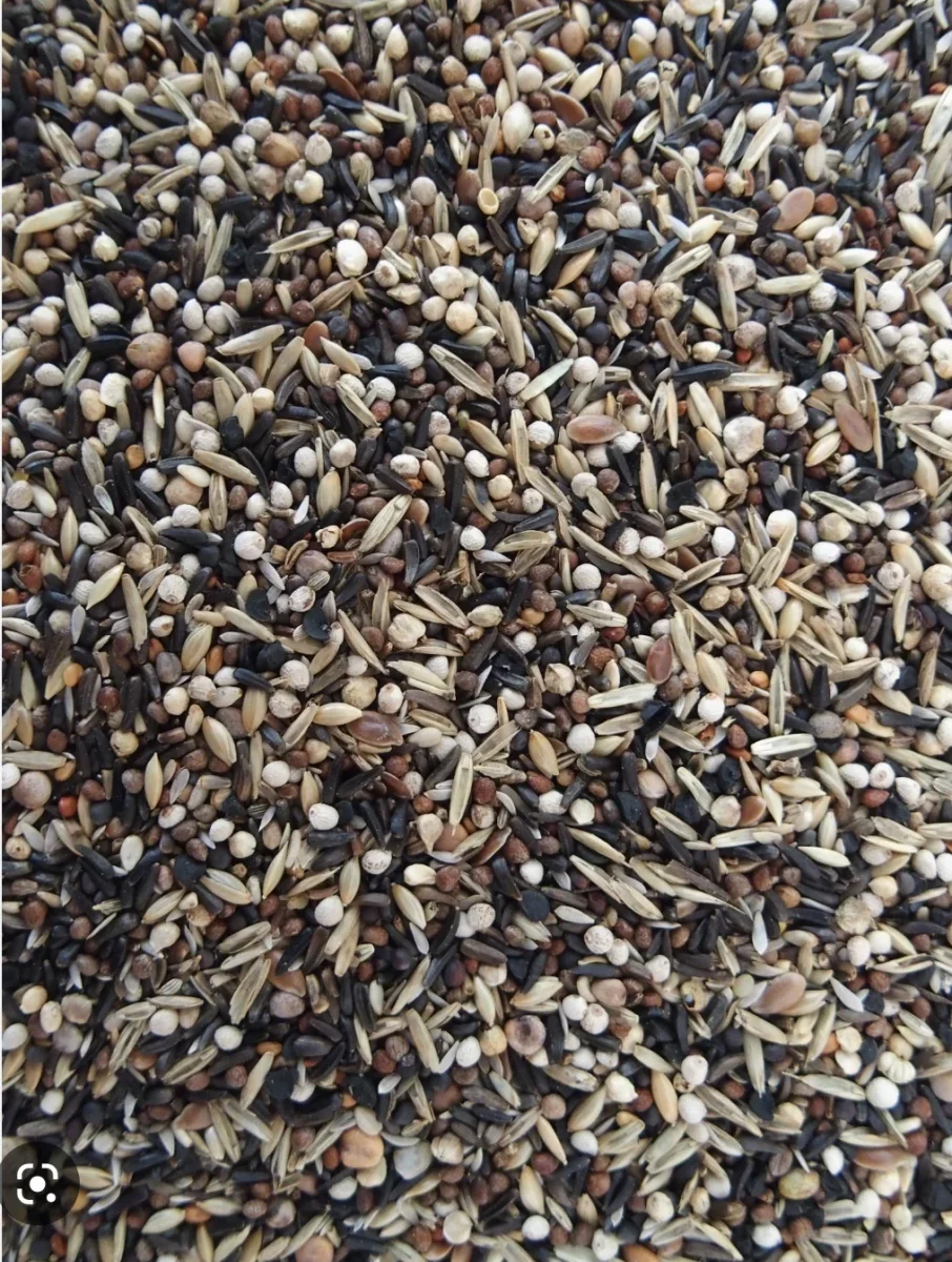 Lucherino dal cappuccio nero Mix "Luxe" 15kg - immagine 3