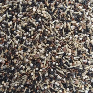 Lucherino dal cappuccio nero Mix "Luxe" 1kg