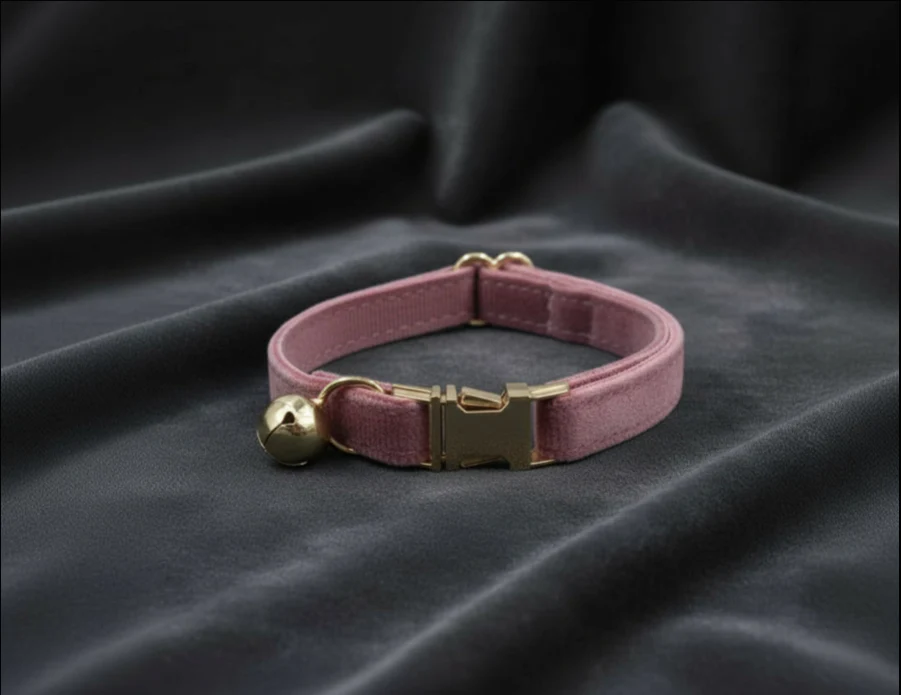 Collare elegante in velluto e fibbia in lega di zinco color oro - immagine 5