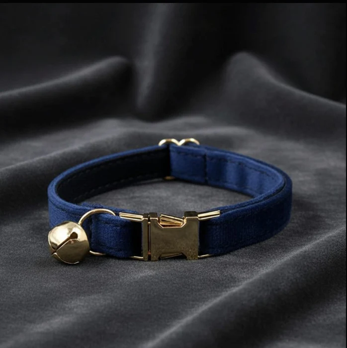 Collare elegante in velluto e fibbia in lega di zinco color oro - immagine 6