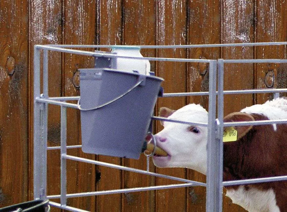 Secchio per allattamento vitelli Hiko con tettarella rossa - immagine 5