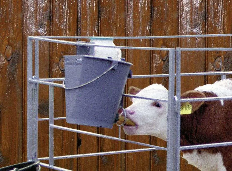 SECCHIO ALLATTAMENTO PER VITELLI CON TETTARELLA ANTIBATTERICA - immagine 5