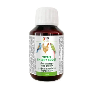 Vivace Energy Boost 100ml - Vita Vogel