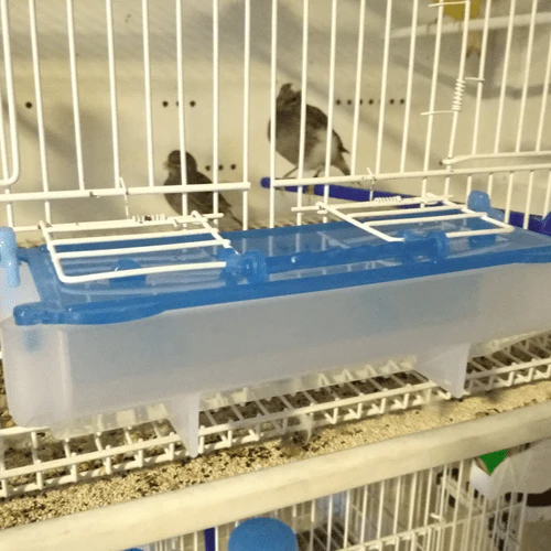 Alimentatore Atlantis - Moldes Ave - immagine 4