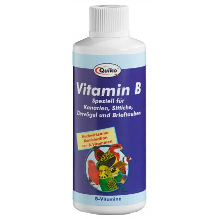 Vitamina B Liquido 100ml - Quiko
