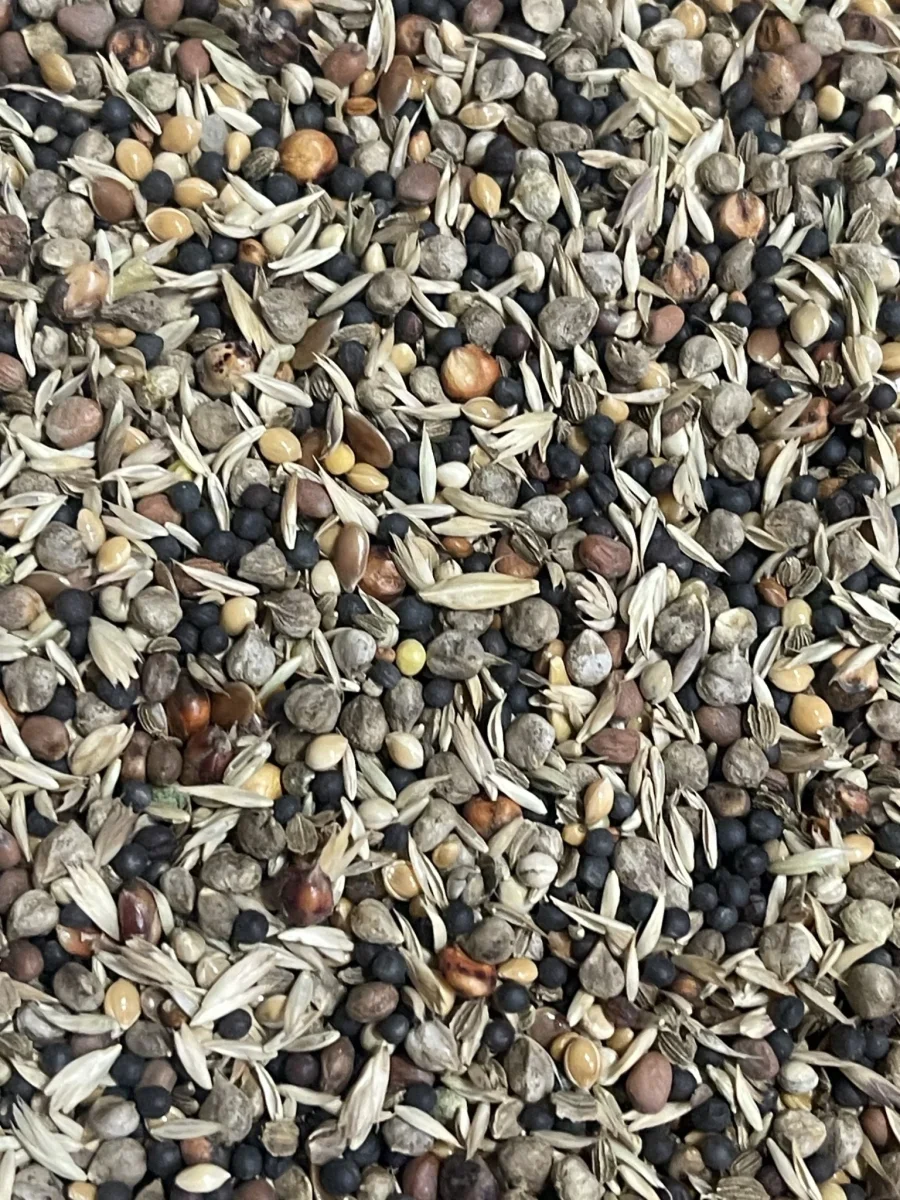 5911 Semi di Salute Extra 1kg Bird Supreme Eccellente