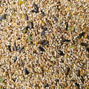 Miscela di semi di carduelis 3 kg - Miscela di erbe per uccelli