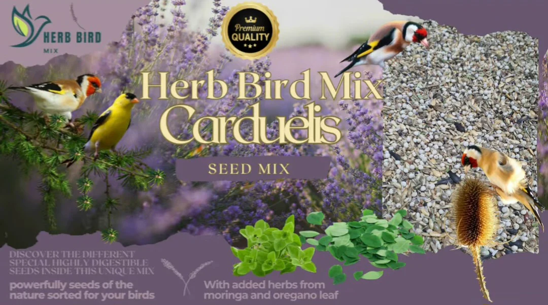 Miscela di semi di carduelis 3 kg - Miscela di erbe per uccelli - immagine 4